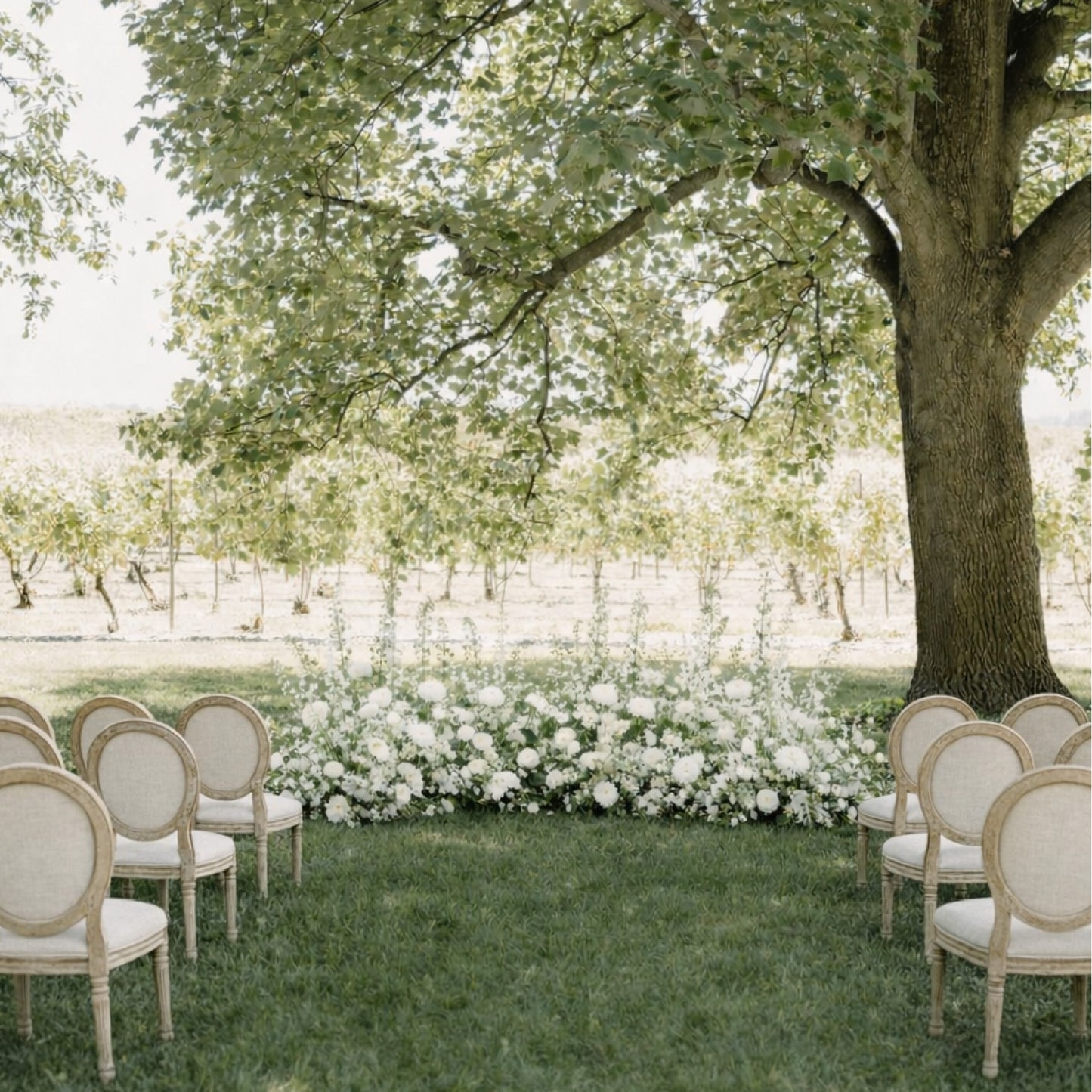 Porcelain Additional Ground Meadow Arrangements lining outdoor ceremony aisle with layered white florals beneath mature trees