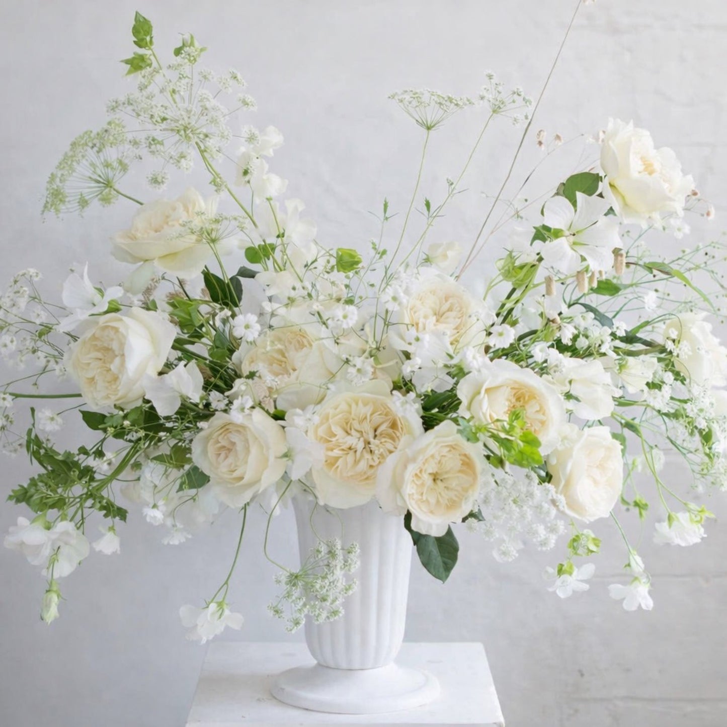 Porcelain Urn Ceremony Arrangement with layered ivory garden roses, airy white botanicals, and organic seasonal movement in classical white urn.