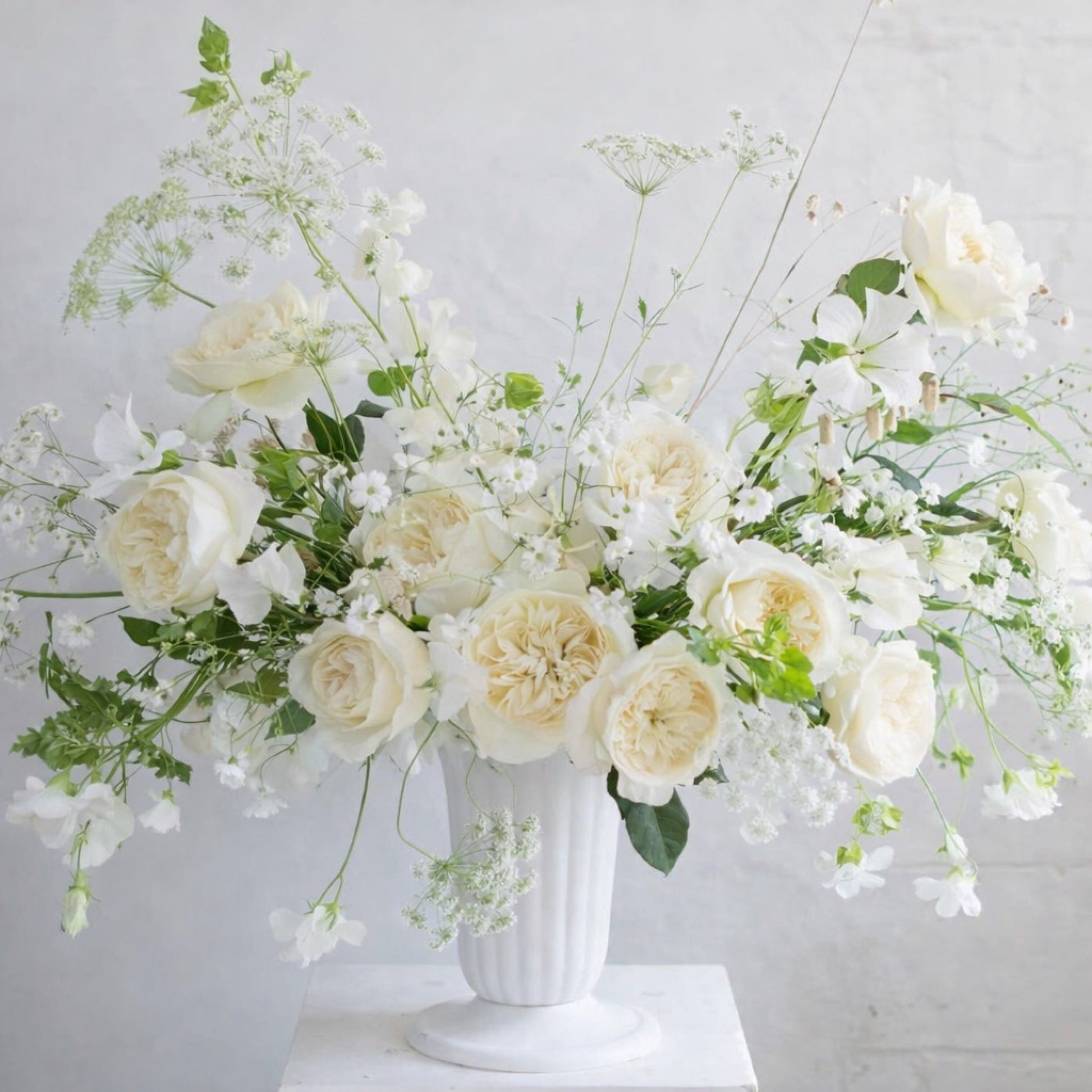 Porcelain Urn Ceremony Arrangement with layered ivory garden roses, airy white botanicals, and organic seasonal movement in classical white urn.