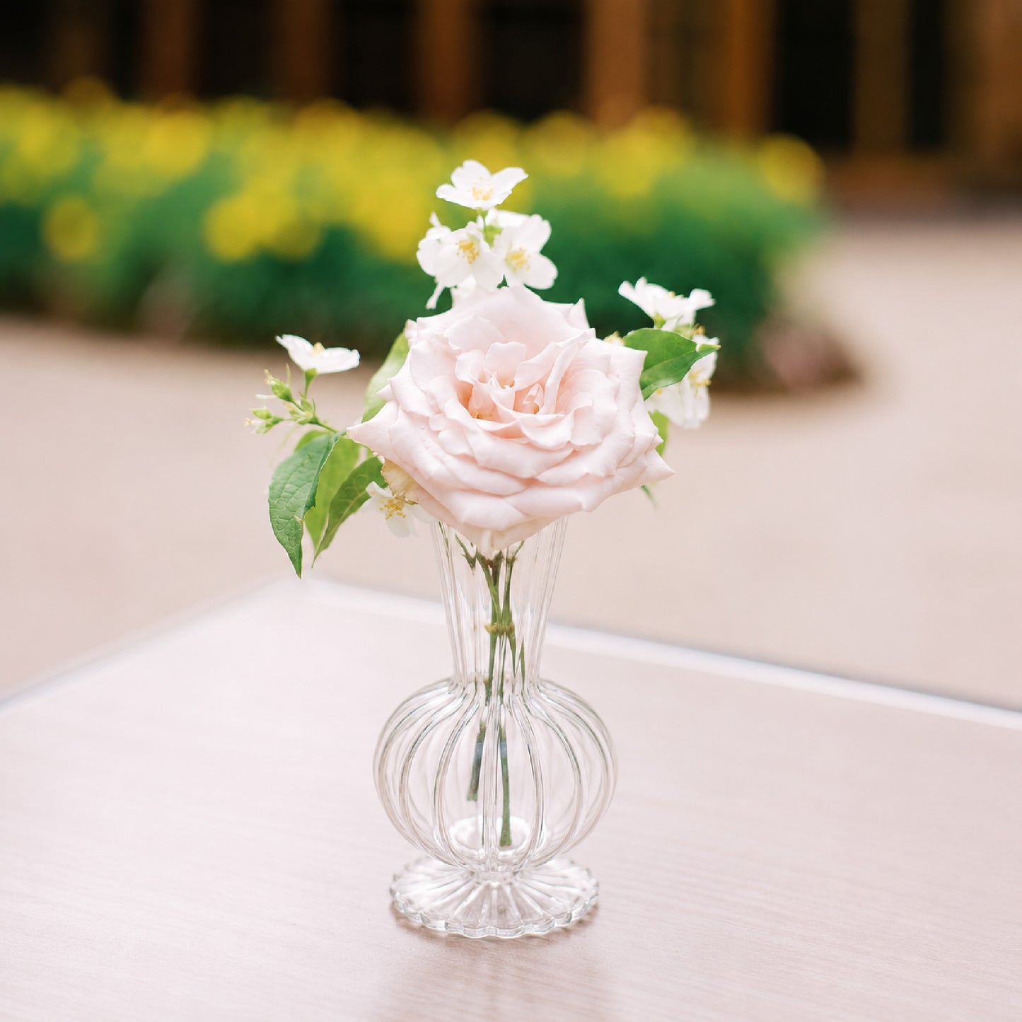 Romantic bud vase with blush garden rose and airy neutral florals.